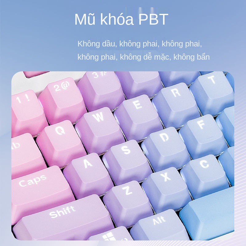 ✎✷Keycap Blue Enchantress 87 104 108PBT Mờ Cầu Vồng Sương Màu Xanh Thiền Sư Ảo Tưởng Trang chủ Secret Agent Keycap