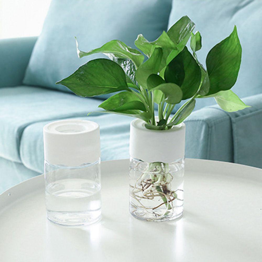 Set 2 Bình Hoa Thủy Canh Để Bàn Trang Trí Nhà Cửa / Văn Phòng