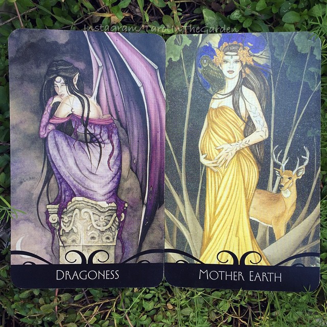 Enchanted Oracle (Mystic House Tarot Shop)