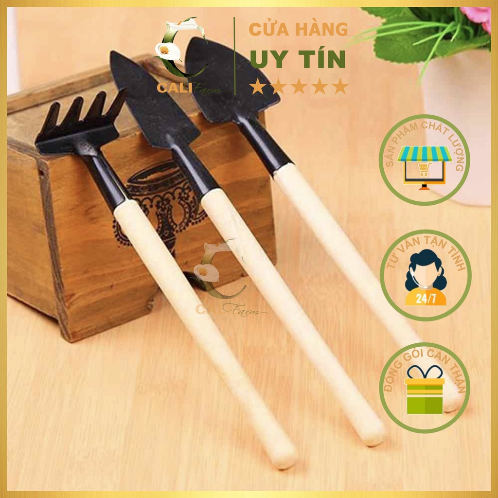 Bộ dụng cụ Làm Vườn Mini 3 món Tiện Dụng