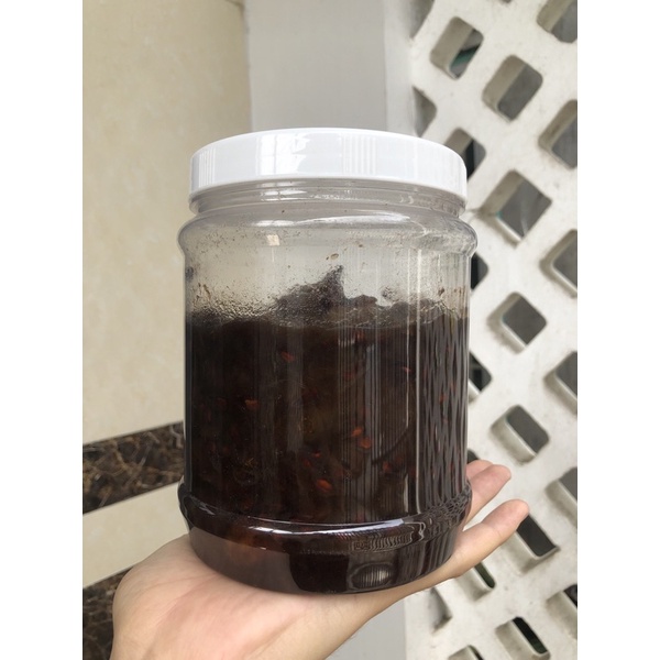 Trái Nhàu Chín Ngâm Đường 1KG