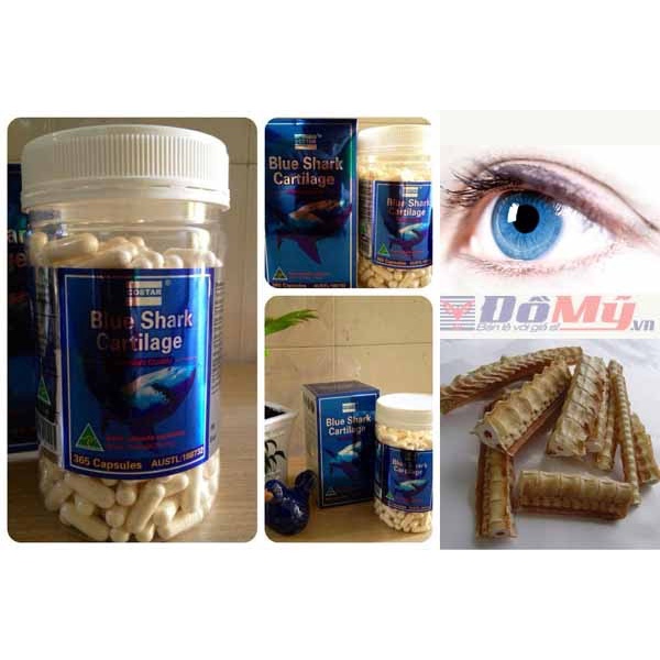 Viên uống sụn vi cá mập shark cartilage 750mg của Úc loại 365 viên