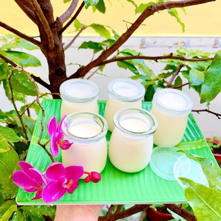 Máy Làm Sữa Chua OENEN Trong Nhà Bếp Hương Vị Truyền Thống - Tặng Kèm 15 Cốc