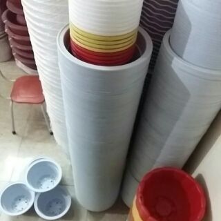 15 chậu trồng cây 20cm
