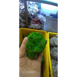 Đá rêu giả y thật "1kg" - trang trí bể cá hoặc tạo tiểu cảnh