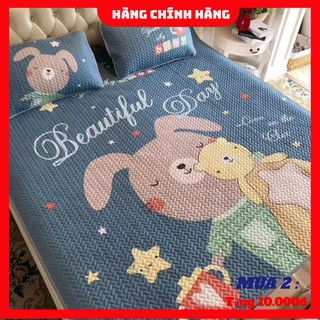 chiếu điều hòa / chiếu điều hòa tencel / chiếu tencel mẫu mới 2020