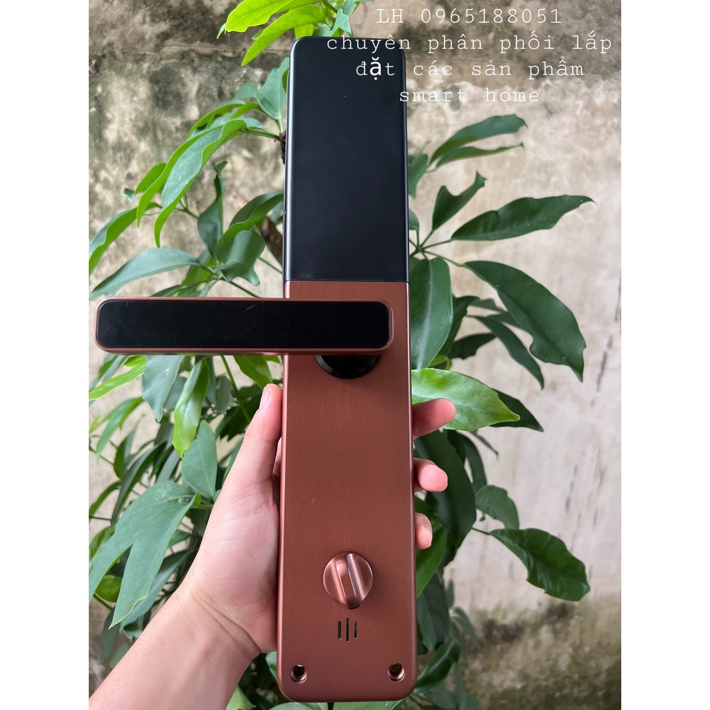 Khóa Cửa Thông Minh Wifi.Zigbee  Tuya M8 2022