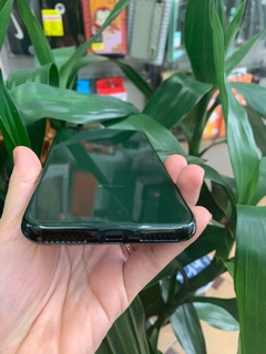 Ốp Lưng Kính Xanh Rêu Ip7 plus /8plus