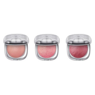 Má hồng kiko arctic holiday