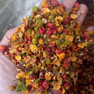 1KG TRÀ HOA CHI BẢN