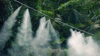 Bộ máy phun sương