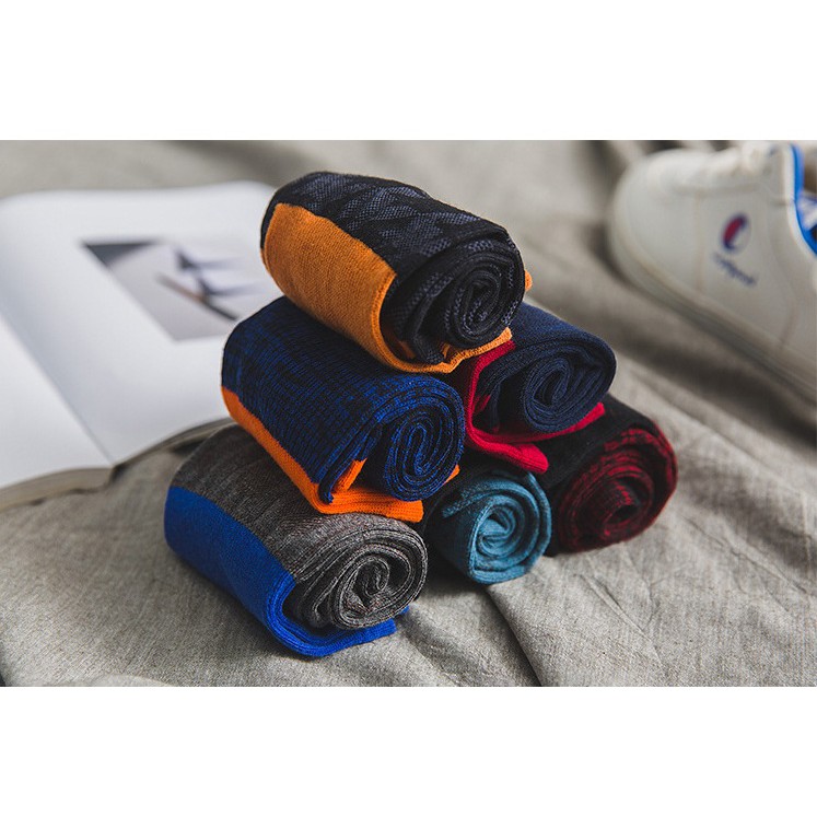 [New] Tất nam cổ cao họa tiết răng sói viền màu nổi trẻ trung