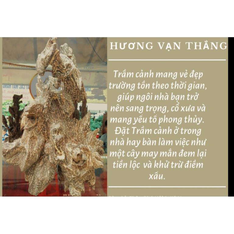 Trầm hương Khánh Hòa - Nhang trầm hương cao cấp 500gram