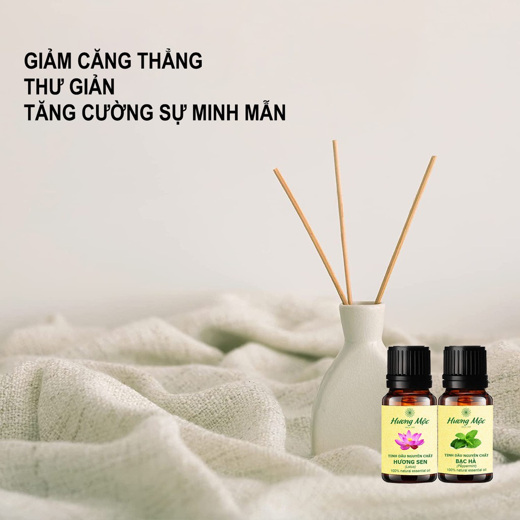 Tinh dầu Tràm Gió 10ML | Cajeput Essential Oil 10ML - Chất lượng cao - Có kiểm định