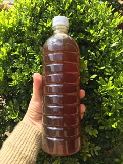 1L mật ong hoa cà phê Dak Lak