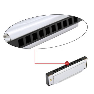 Kèn Harmonica 10 lỗ cho người mới bắt đầu
