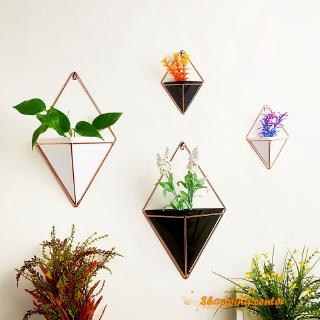 Bộ 2 chậu cây treo tường mini
