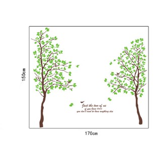 Decal trang trí Cây xanh ( làm được nhiều mẫu )