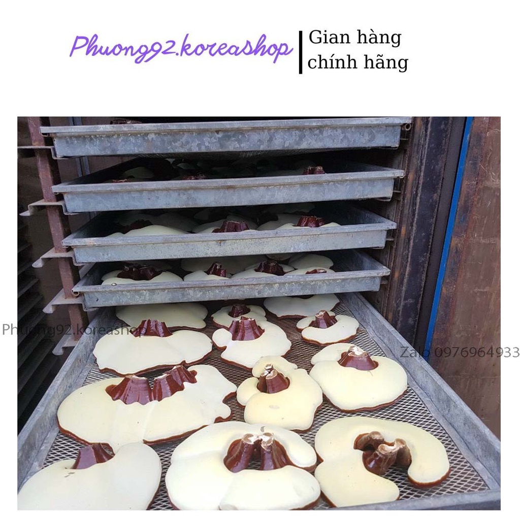 (Hàng chuẩn) Nấm linh chi Kana lá vừa  nội địa Hàn quốc 1Kg | BigBuy360 - bigbuy360.vn