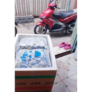 YAUA SỮA BÒ TƯƠI (DẺO, KO ĐÁ)