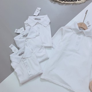 ÁO POLO CỔ ĐỨC