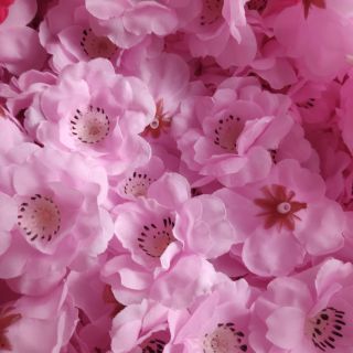 Gói 50 bông hoa đào rời