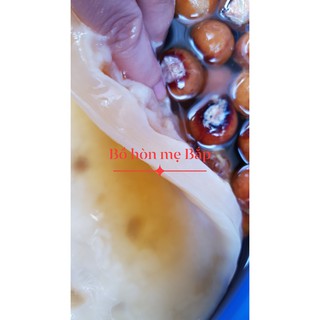 Enzym bồ hòn