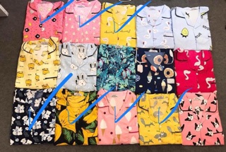 combo 3 bộ đùi 255k