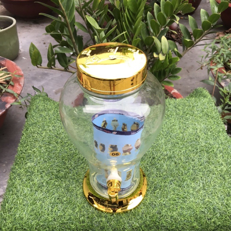 Bình ngâm rượu sâm thủy tinh 6 lít có van và không van