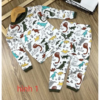 Link 2 - Bộ thun borip Carter tay dài bé trai - Quần áo trẻ em