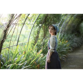 Bộ hà lan có sẵn