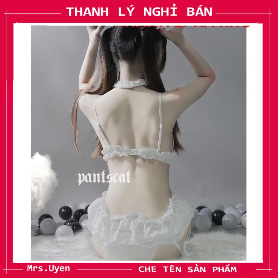 Bộ đồ ngủ cosplay sexy PET001 bộ đồ lót đóng vai thú cưng đủ phụ kiện, bikini gợi cảm quyến rũ | BigBuy360 - bigbuy360.vn