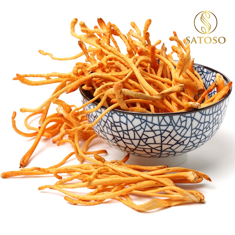 Đông trùng hạ thảo SATOSO 10g sấy thăng hoa SA002