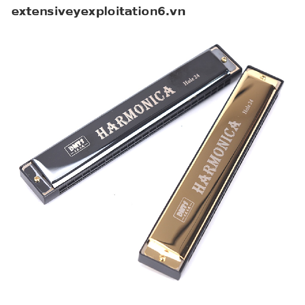 Kèn harmonica tremolo 24 lỗ chuyên dụng chất lượng cao
