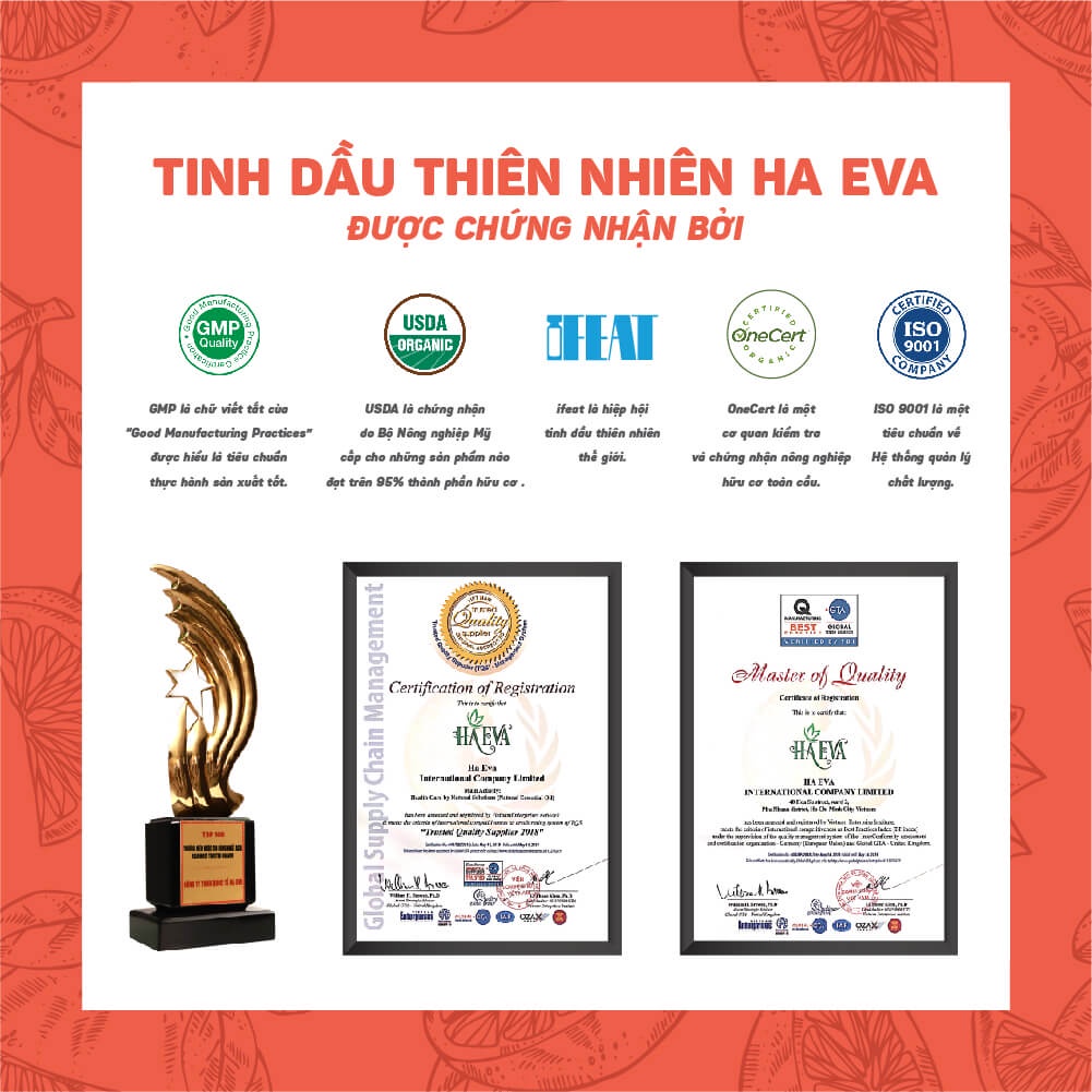 Tinh dầu Bưởi Haeva Cao Cấp, 100% Thiên Nhiên, giúp thơm phòng, chăm sóc tóc chắc khỏe, Chai 10ml/30m/100ml