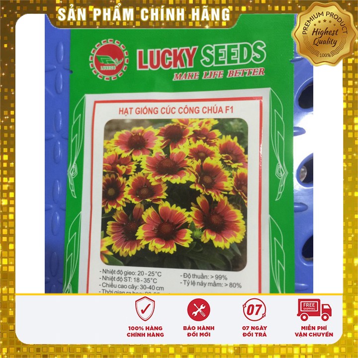 Hạt giống hoa cúc công chúa LUCKY SEED