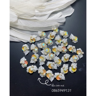 Hoa bột nail gắn móng tay | Hoa bột cục mắt mèo