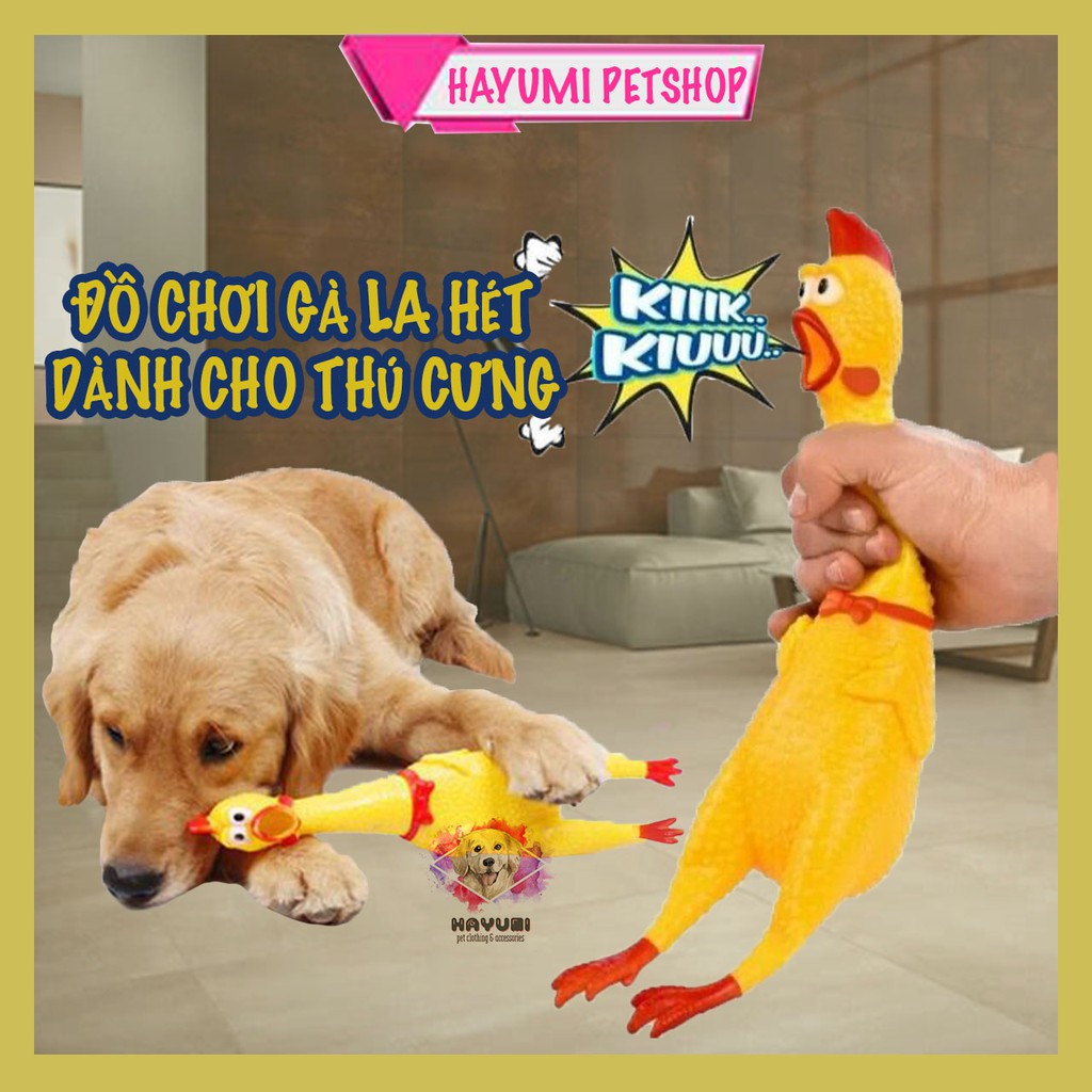 🐥🐥 GÀ ĐỒ CHƠI 🐥🐥 DÀNH CHO THÚ CƯNG