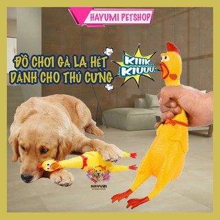 🐥🐥 GÀ ĐỒ CHƠI 🐥🐥 DÀNH CHO THÚ CƯNG