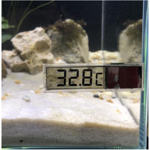 Nhiệt kế điện tử đo nhiệt độ bể cá có màn hình LCD