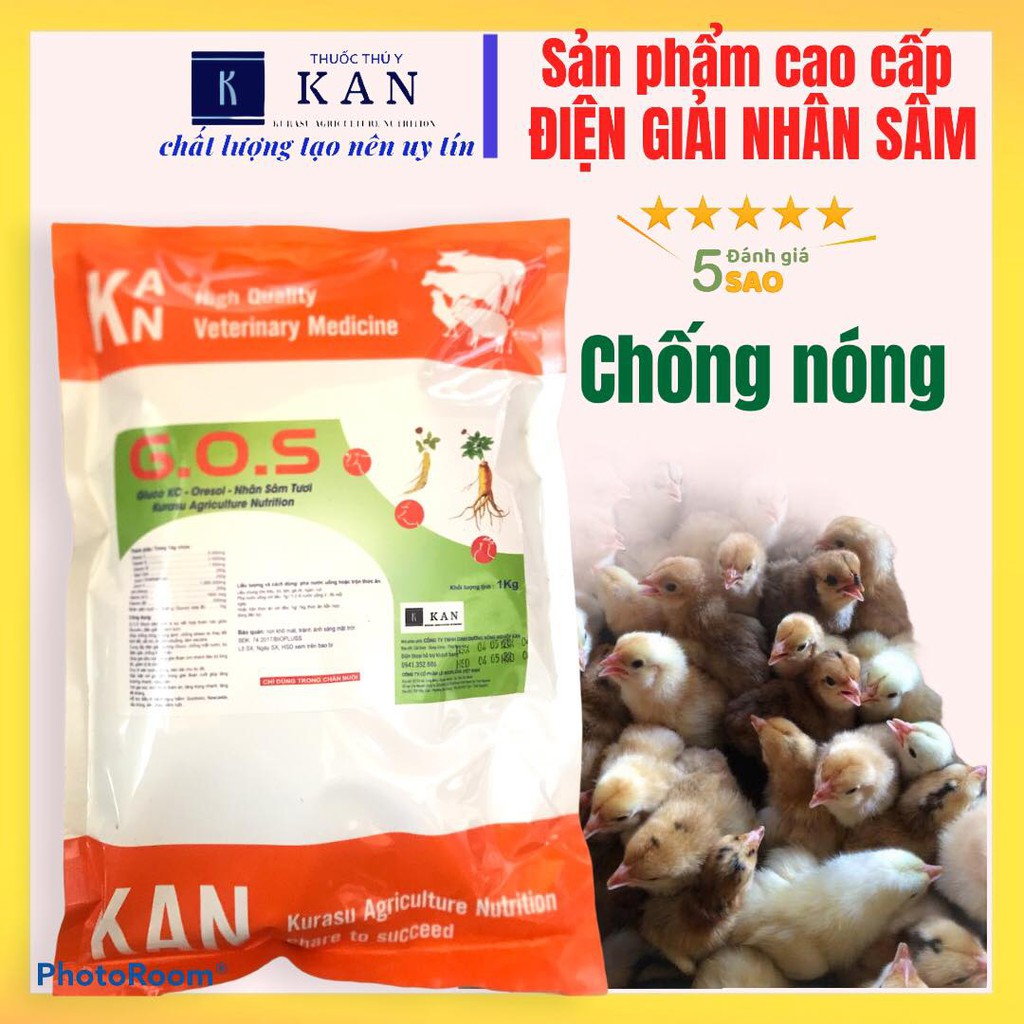 Điện giải, tăng lực gluco nhân sâm cho gia súc gia cầm; chống nóng, giải nhiệt cho gà, ngan, vịt, lợn, trâu bò