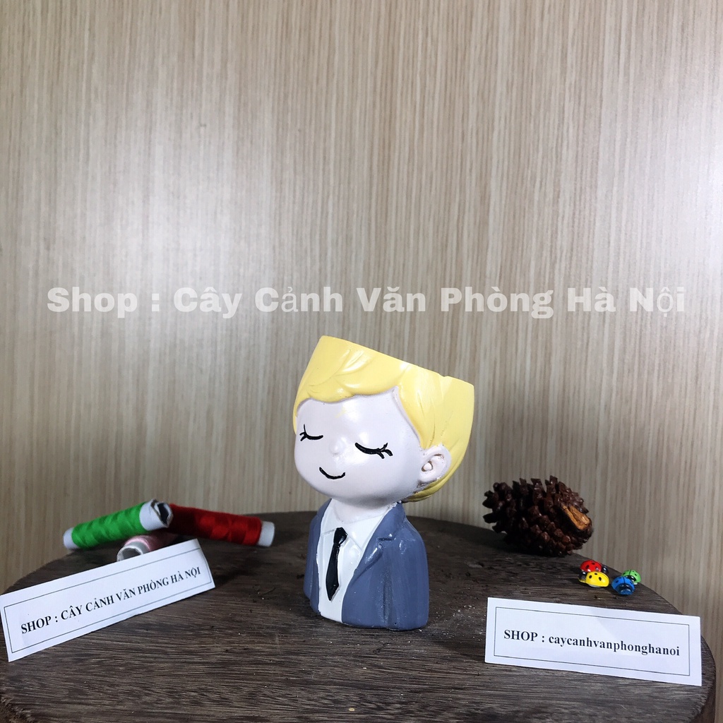 hoa sen đá cây xương rồng kèm chậu con trai áo vest