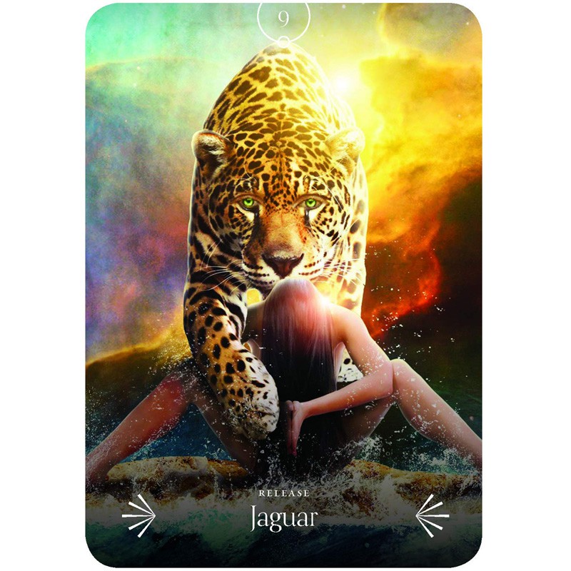 Bộ Bài Divine Animals Oracle (Mystic House Tarot Shop) - Bài Gốc Authentic Chính Hãng 100%
