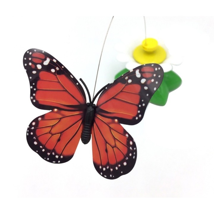 Đồ chơi Quay Vòng Tự Động cho Mèo vận động chộp bắt Chill Chill - Dùng Pin