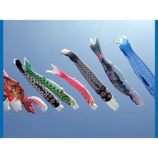 Set 5 Lá Cờ Cá Koi Nhật Bản 70cm