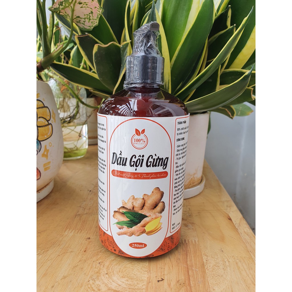 Dầu gội gừng tươi thảo mộc, Sạch Gàu giảm rụng tóc, sản phẩm Handmade, chai 500ml - Goss Việt | BigBuy360 - bigbuy360.vn