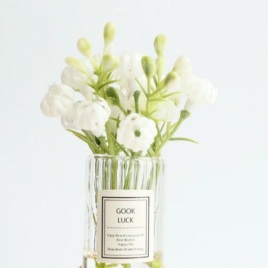 100g Cụm điểm hoa baby, cỏ điểm hoa baby