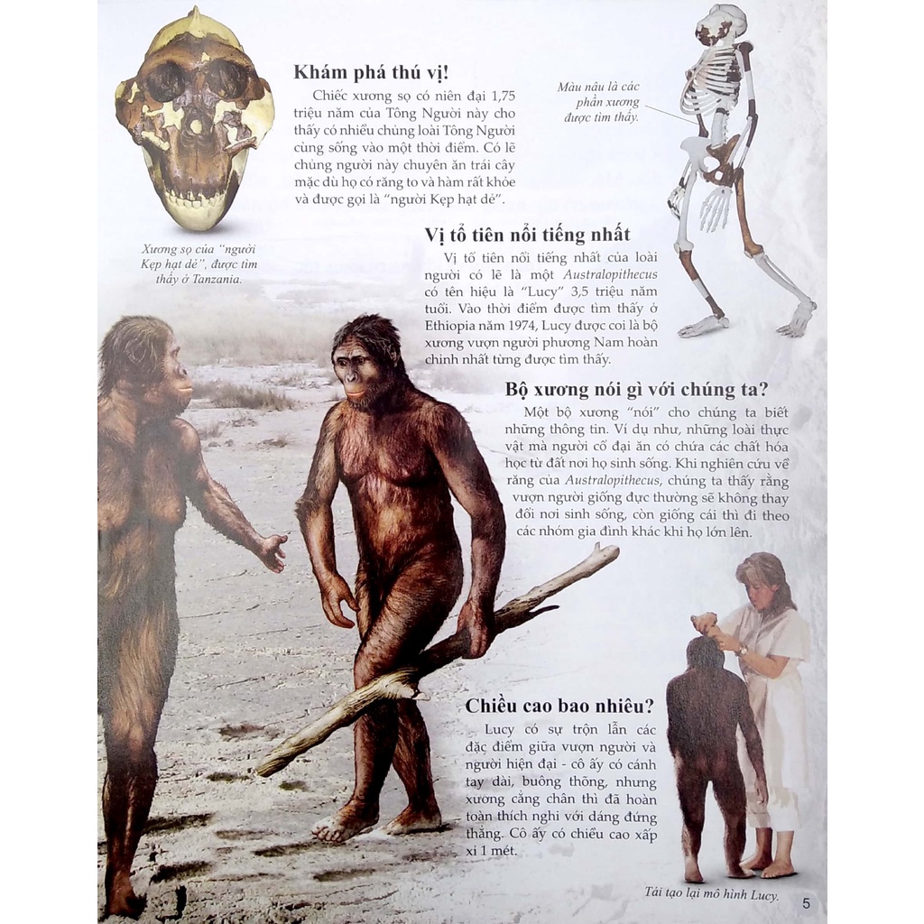 SÁCH - Bách khoa tri thức về khám phá thế giới cho trẻ em - Early people - Người cổ đại