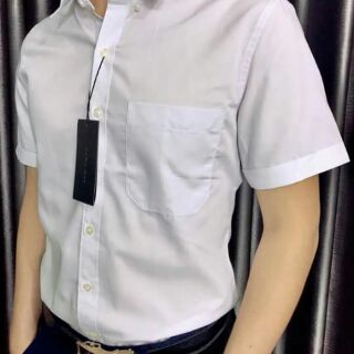 Sơ mi nam cộc tay