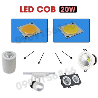 Mắt led cob 20W size nhỡ